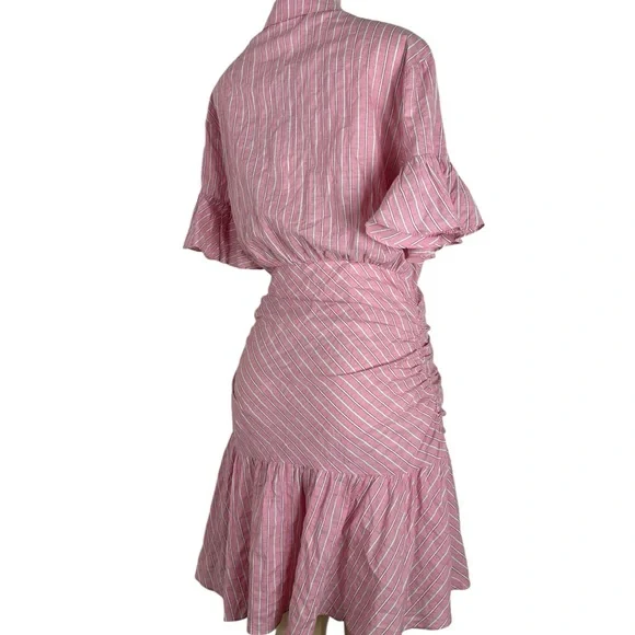 NWT CINQ à SEPT Pink and White Striped Asher Dress Size 6 - Picture 3 of 5